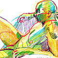 Link 11